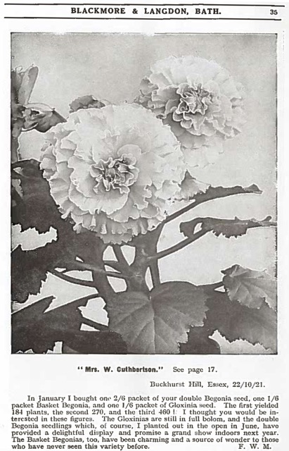 B. ‘Mrs. W. Cuthbertson’